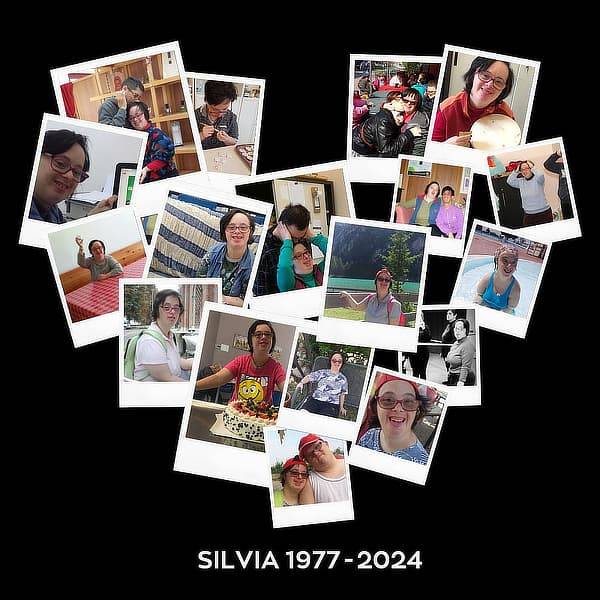 Silvia, 1977 - 2024